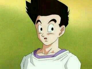 soy Goten hijo de Goku y Chichi y mi hermano es Gohan