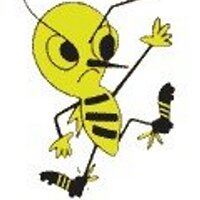 East Anglian Hornets (@eahorns) 's Twitter Profile