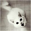 archibold_felka's profile picture. 