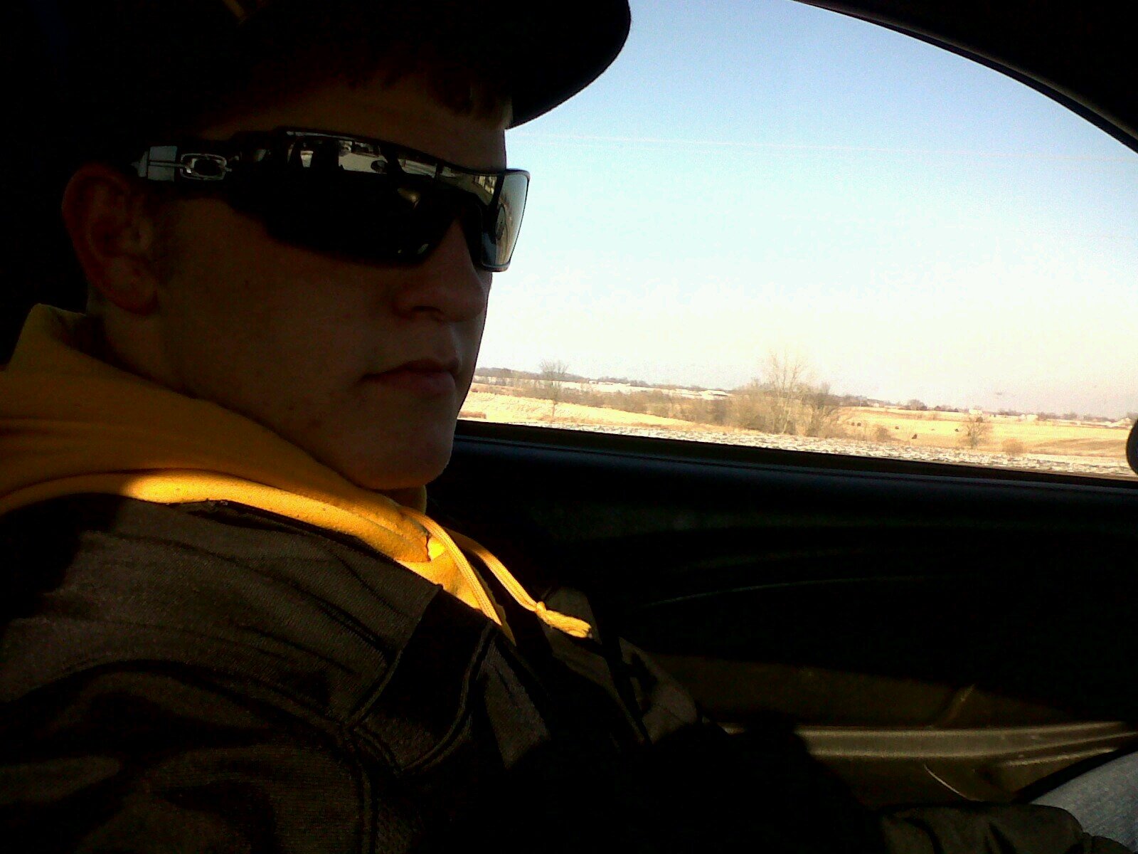 toadapoe's profile picture. 