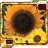 Sun_Flower_Seed
