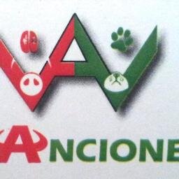 Anciones Sanidad Animal&Servicios Veterinarios. Asistencia y Asesoría Técnica y Sanitaria.Información y consejos a cerca del mundo animal.