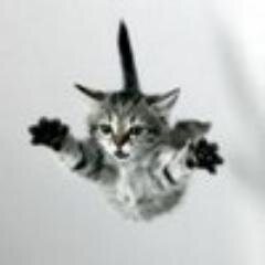 Не сохранит господь града, не сохранит ни стража, ни ограда.