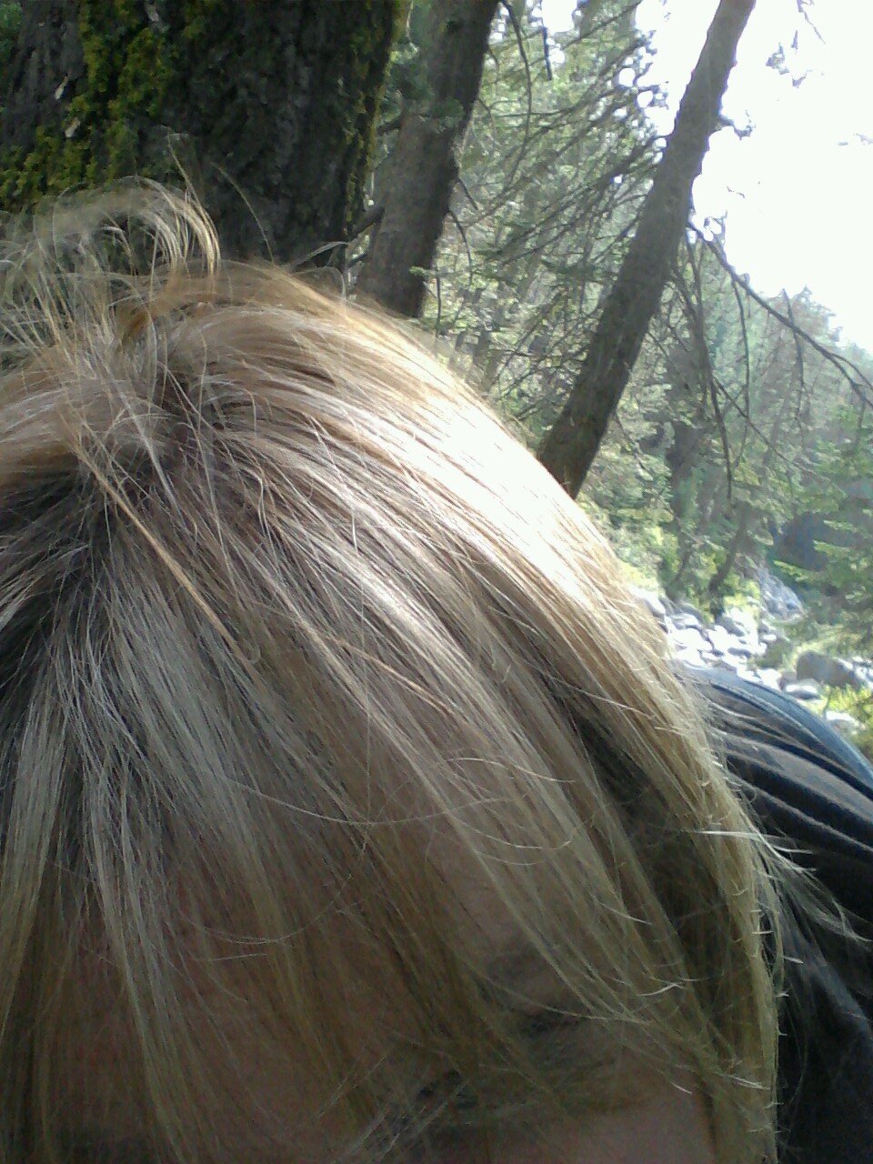 K8tidyd's profile picture. 🤟🏻 ASL & नेपाली, retired banker turned office manager, #disabled #arthritis #totalhipreplacement #dementiacareprovider #pickalanguage 💕 #travel 🖖🏻#LLAP