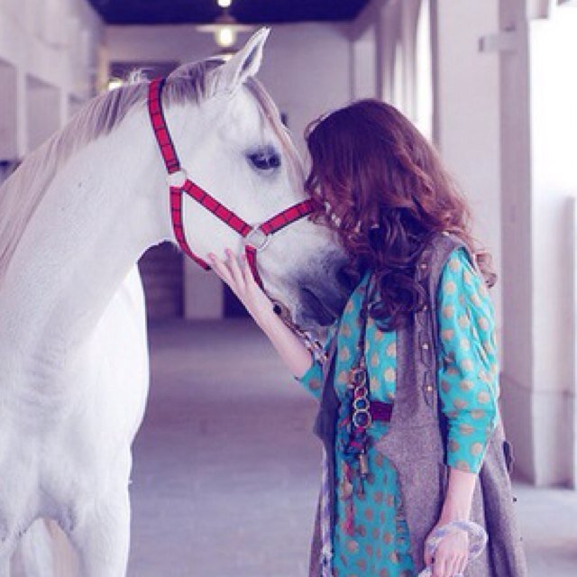 | sinds 7 januari 2013 | als je niks met paarden hebt, waarom de mensen afkraken die dat wel hebben? | best friend has 4 legs♥