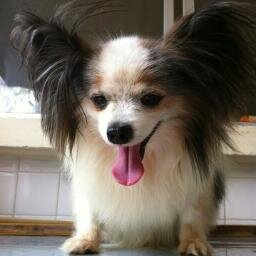 konichiwa~ nice to meet u