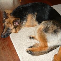 dorinda26853388's profile picture. dat iedereen maar gelukkig blijft