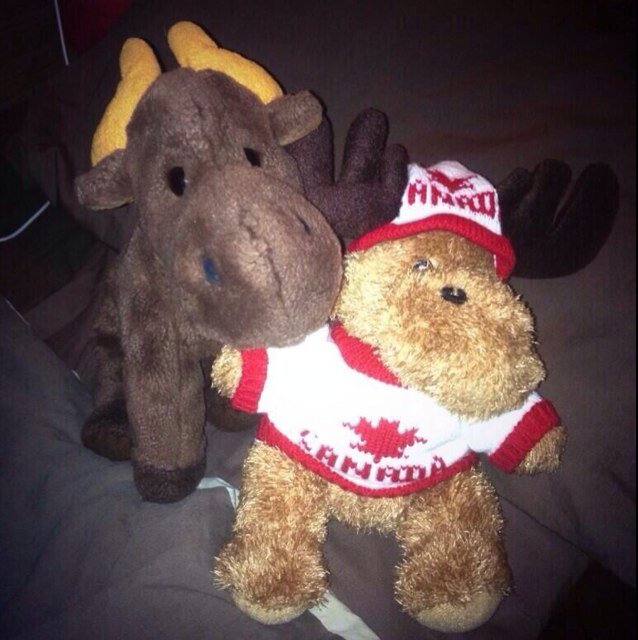 The son of @RealMooseMoose & @AllyBrooke