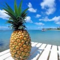Providing cherished memories one vacation at a time!