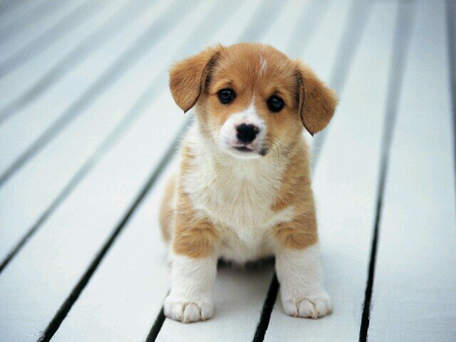 ill follow you, follow me back plz:)