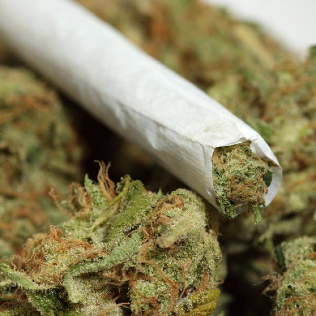 Young_penis's profile picture. 