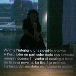 Traductora - Translator - Traductrice - Traduttrice = EN IT FR ES CA. Transcreation. Sci-tech. l10n. Humanities. Fiction & Non-fiction. Techie and geek chick