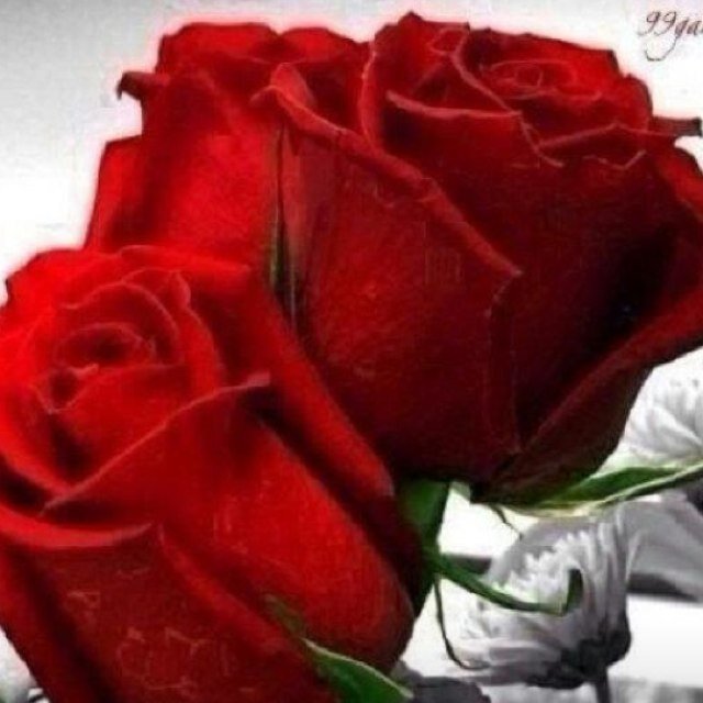 ﻣاﻟوم ﻗﻟبي ﻓي ﮬوا ﻣن ﻋذﺑﮬۂ ﻣدام ﻗﻟبي ﻓي ﮬوى ﺧﻟي ړﮬﯾن