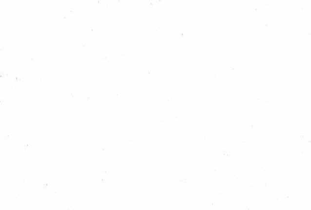 perffraudlyfe's profile picture. 