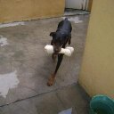 nora beatriz wagner  - @norabeatrizwag - Twitter