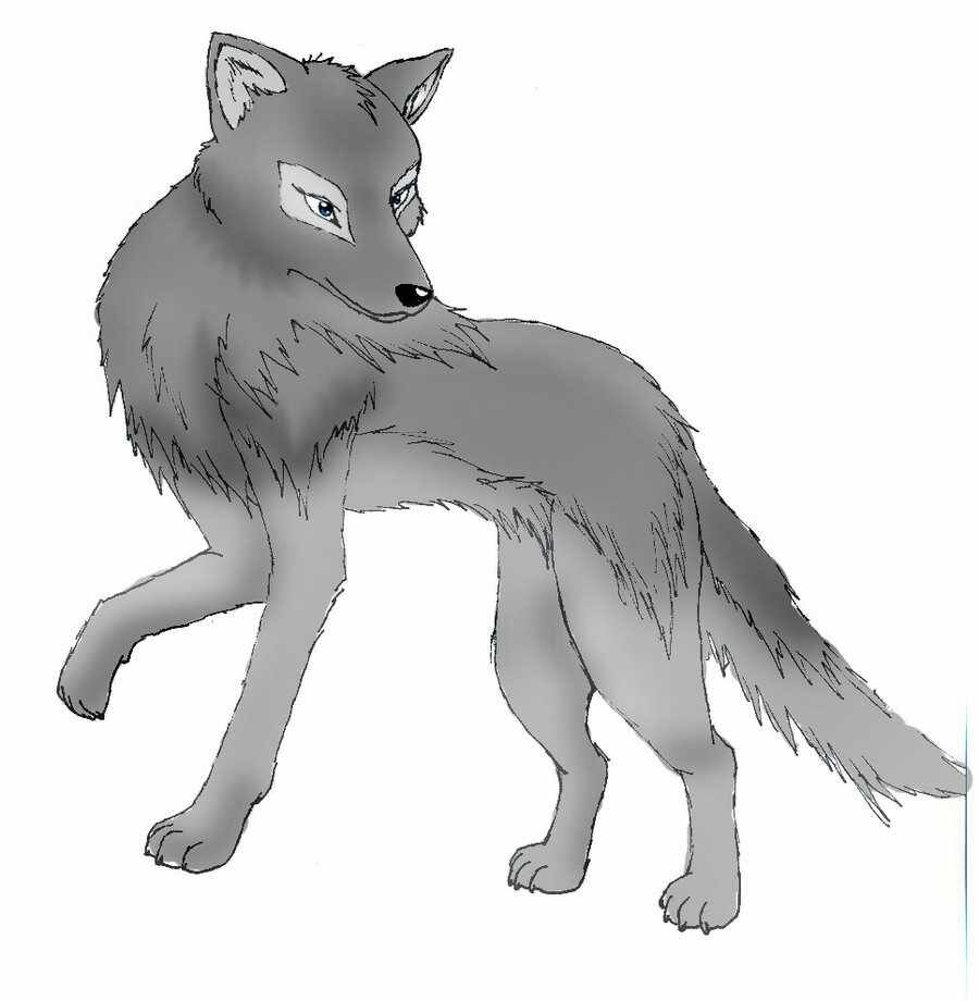 ((Follow @xXDemonWolvesXx))