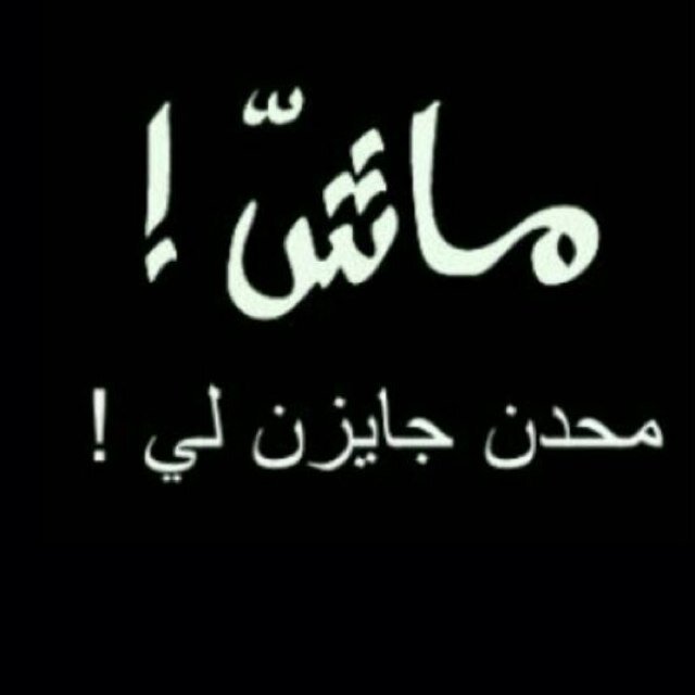 0_naief's profile picture. 