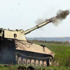 DianthusK's profile picture. Dianthus