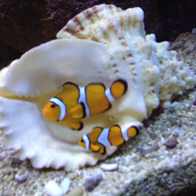 FOLLOWM21716251's profile picture. 