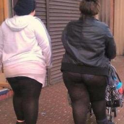 pkeshvidchart's profile picture. 