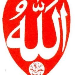 SapirSenior's profile picture. 