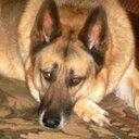 Sonia Seay - @dillydawn8 - Twitter