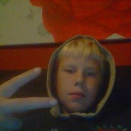 hoi.
