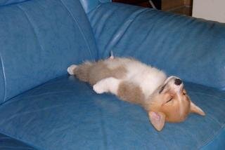 Sometimes people get too drunk...send pictures of your passed out friends to this page when they do