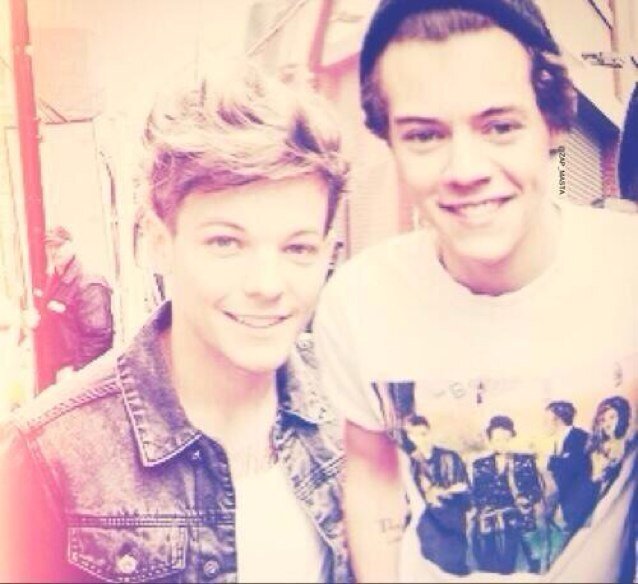 The diary of Harry Styles and Louis tomlinson