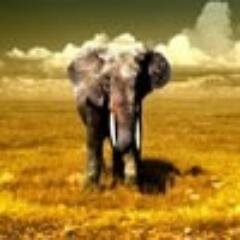 Если старик женится на молодой, оба не будут довольны (идиш)
