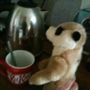 Hazel Childs - @childs_hazel - Twitter