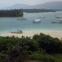 とかこ (@tokakko) Twitter profile photo