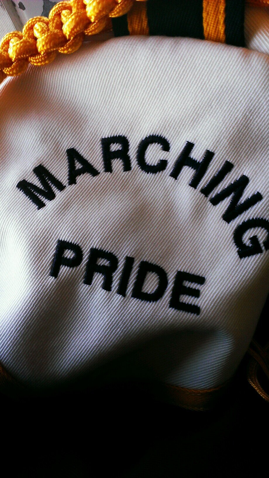 I am a senior. trumpet player, squad leader, section leader, and an officer. Band is life.