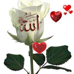 إنَّ الشّجاعةَ في القُلوب كثيرةٌ .. ووجدتُ شُجعانَ العُقُولِ قليلاً !!