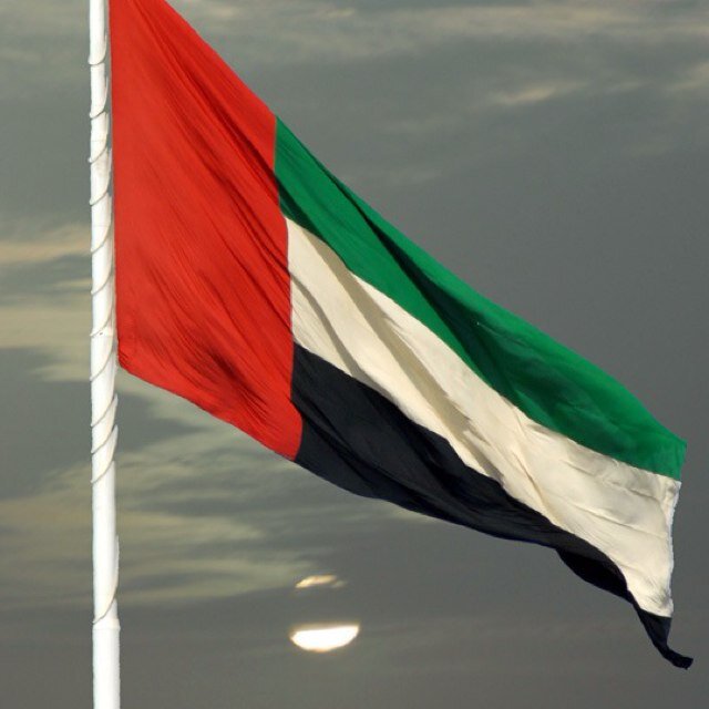 abodabod151's profile picture. 