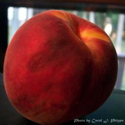 If Quin were a peach, you would throw him out.