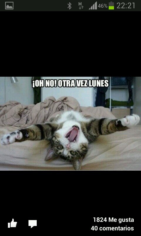 MarioMariolopos's profile picture. mariomariolopos@gmail.com