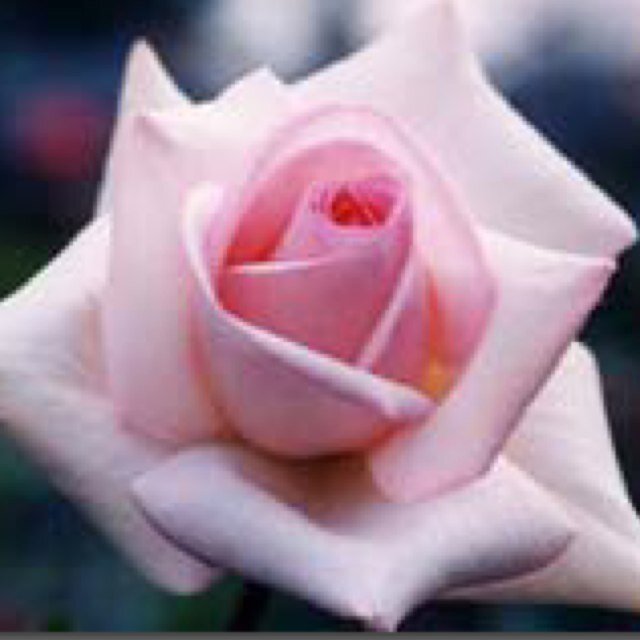 komotomo1204's profile picture. 