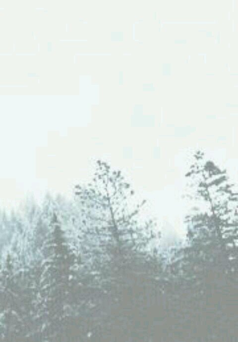 myinsecurelifex's profile picture. xx