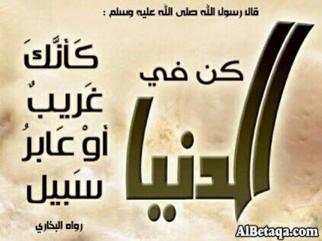 2004aMoh's profile picture. 