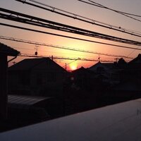 o-san@social (@beyondtomorrowo) Twitter profile photo