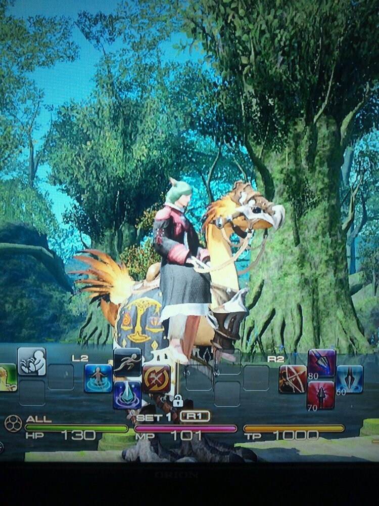 FF14ハデス鯖   鯖同じ人よろしくです(*´∇｀*)   bo2、テラリア、パズドラやってます(^^)
