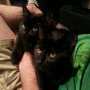 Connie Allison - @stancie27 - Twitter