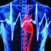 UC Cardiology (@uccardiology) 's Twitter Profile Photo UC Cardiology (@uccardiology) 's Twitter Profile Photo
