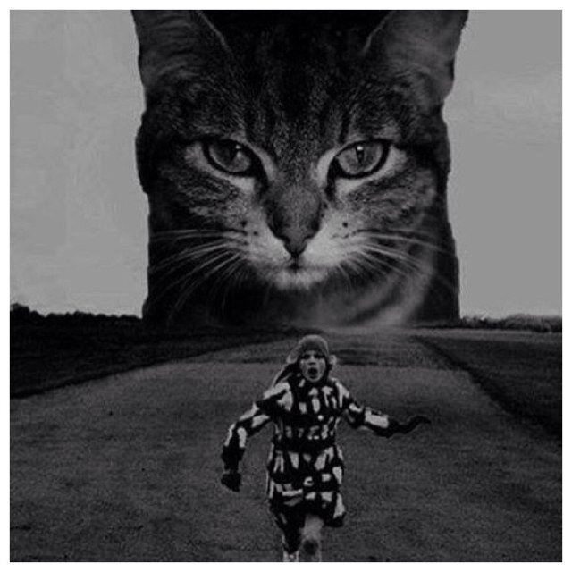 rosyredmoo's profile picture. you know what? I don't know, do you know what I mean?