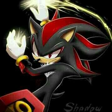 Im Shadow! A hedgehog created from the Space Colony A.R.K I was keeping a promise from Maria ... I'll help and protect everyone who needs help...