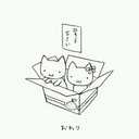 にゃんこ@風王 (@0226_kazue) Twitter