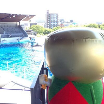 おりんちゃん Orinchan0409 Twitter