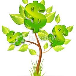 LexElv's profile picture. 