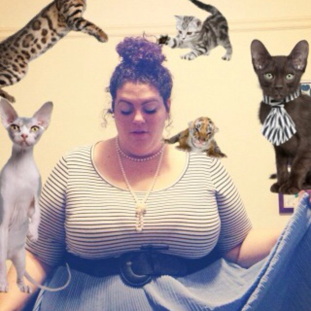 something something something cats